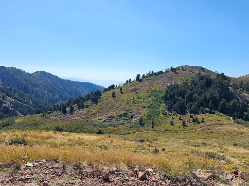 Bountiful Staging Area - Thumbnail