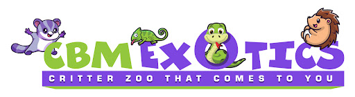 CBM Exotics - Visual