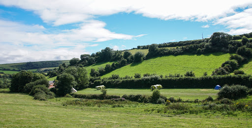 Combas Farm - Visual