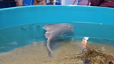 Maine State Aquarium