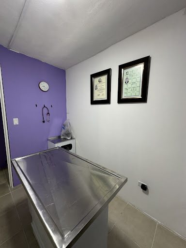 JoPet Veterinaria - Thumbnail