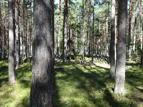 Käsmu hiking trail