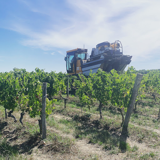 Domaine de la Salpetrière - Thumbnail