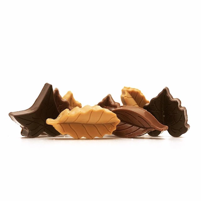 Sébastien Hénon | Chocolatier conjugueur de saveurs