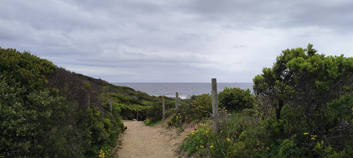 Pearses Beach Car Park - Thumbnail
