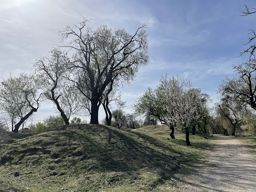 Reserva Biológica Urbana " El Tomillo"