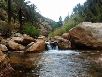 Photos of T&eacute;ldi Plage