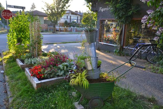 Figaro's Garden by null