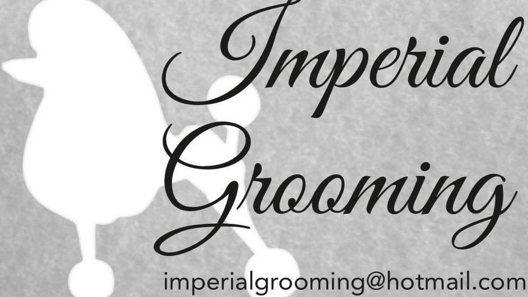 Imperial Grooming Dog Groomer
