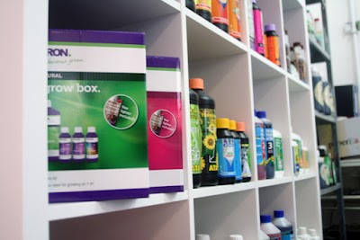 Photos of Coltivazione Indoor Idroponica Grow Shop