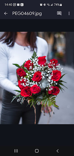 Eli Floristería - Thumbnail
