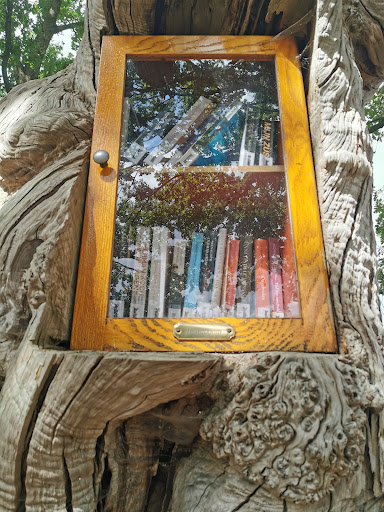 (B)ruil boom, boekenruilboom - Thumbnail