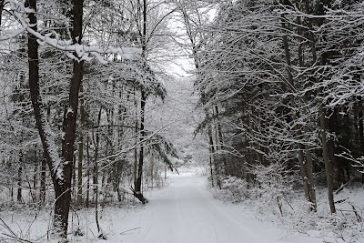 Cranesville Swamp Natural Area