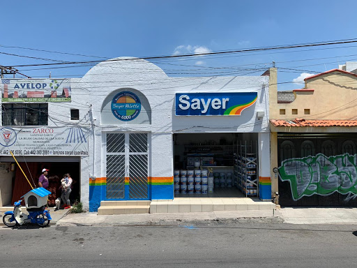 Sayer Constituyentes