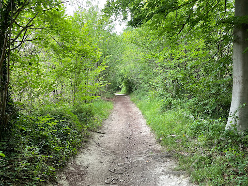 Icknield Way - Visual