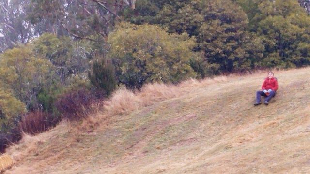 Mount Donna Buang
