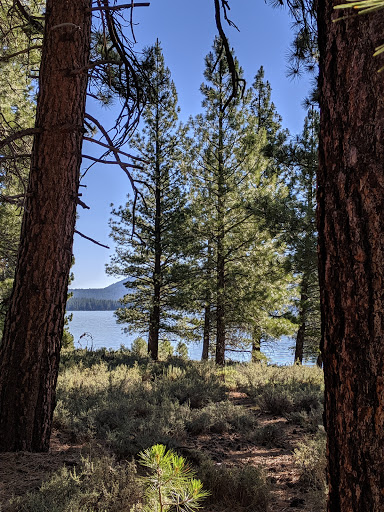 Logger Campground - Visual