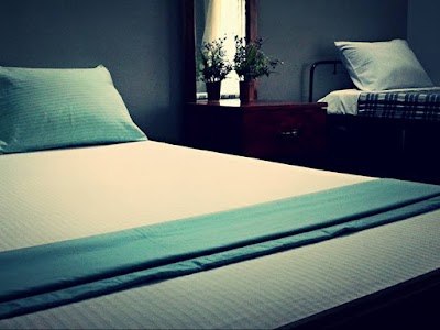 Photos of Olive Green Resort