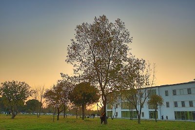 Marmara Üniversitesi Dragos Yerleşkesi