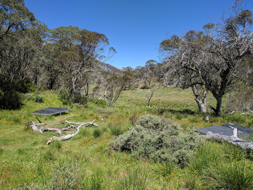 Dibbins Hut & Camping Area Gallery - Australia