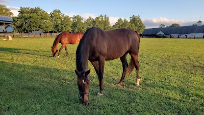 Kentucky Horse Park Foundation