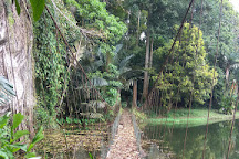 Gunung Senyum Recreational Forest, Temerloh, Malaysia