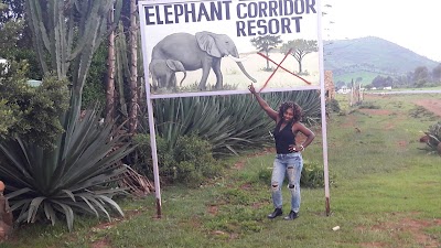 Photos of Elephant Corridor Resort