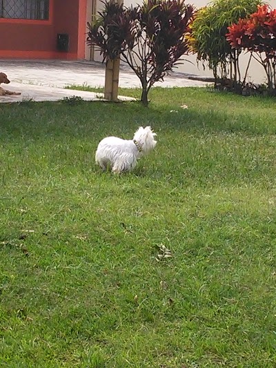 Photos of Parque Los Nogales