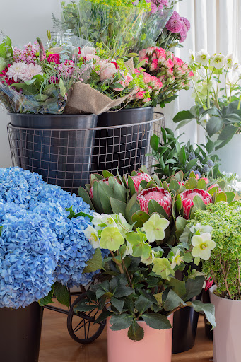 Elizabeth Home Petal & Press Cafe Gallery - United States