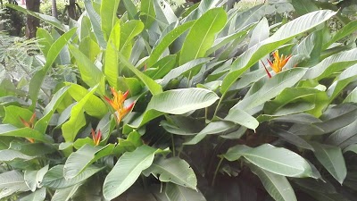 Photos of Carlos E AV Regional Park