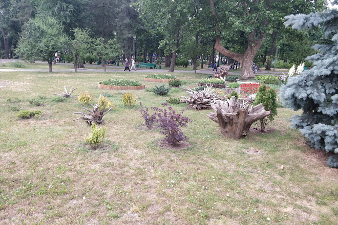 Visit Parcul Catedralei On Your Trip To Chisinau Or Moldova
