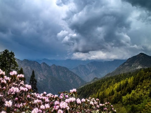 Car rental in Shimla| Car rental services in Shimla| Car rental for outstation| Car rental for lo… post image