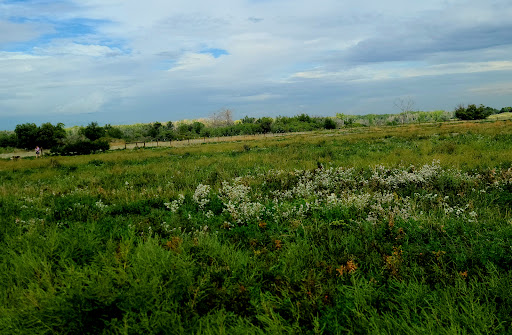 Cherry Creek ​Dog Of​f Leash Area (DOLA) - Thumbnail