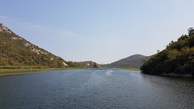 Lac de Shkodra