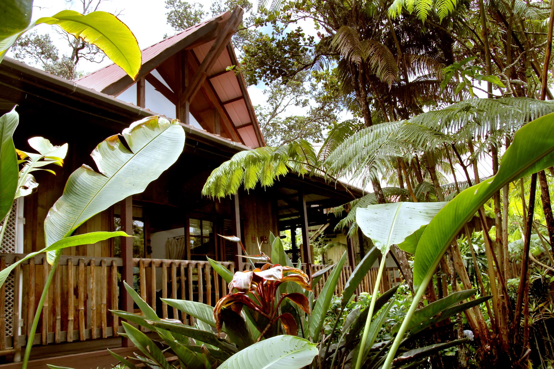Lotus Garden Cottages