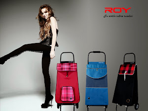 Roy Wheelbarrows Market 4