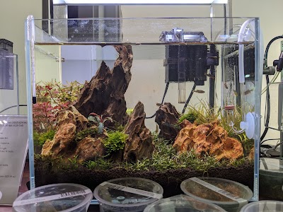 Aqua Forest Aquarium