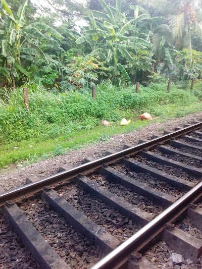Photos of Enderamulla Railway Station