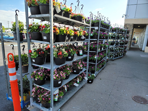 Sobeys Glace Bay - Thumbnail