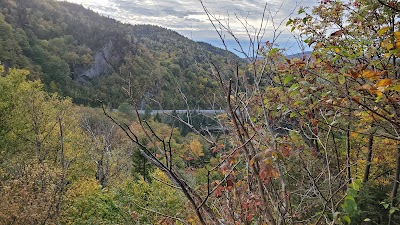 Halpin Covered Bridge