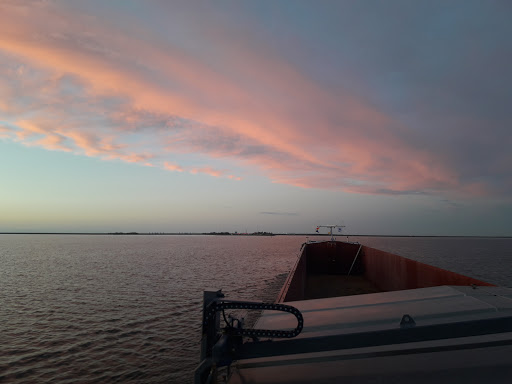 BSA Barge Snoei Ambitie - Thumbnail