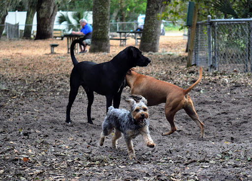 Ron Parker Park - Thumbnail