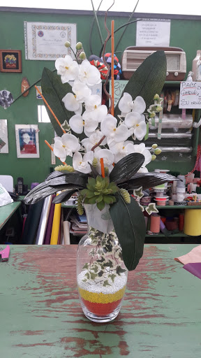 Floricoltura Raffaella - Thumbnail