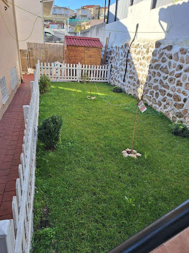 LAyJO multiservicios