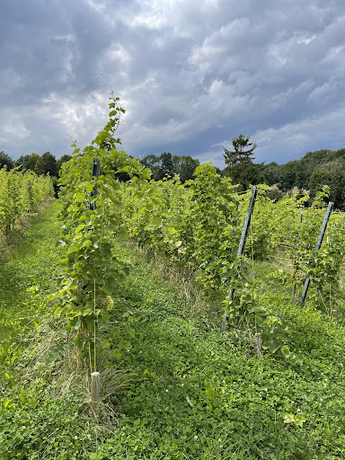 Clos de Nottereberg - Thumbnail