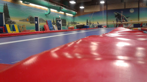 Duncan Dynamics Gymnastics Club
