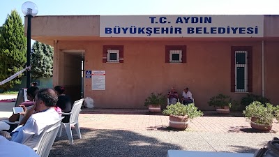 T.C. Aydın Büyükşehir Belediyesi Yüzme Havuzu Tesisleri