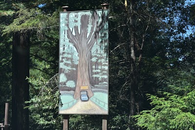 Drive-Thru Tree Park