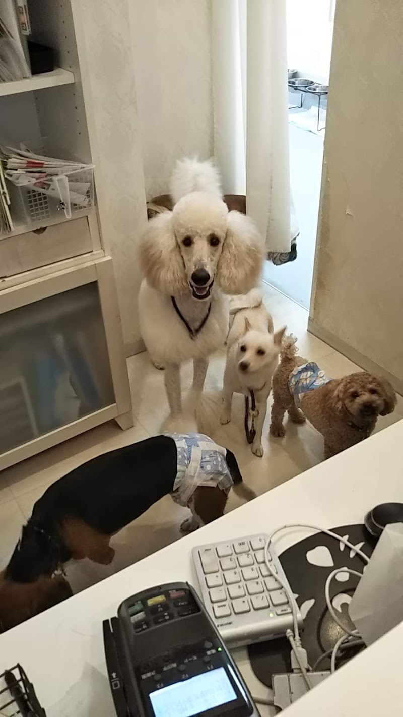 リアン 動物 病院