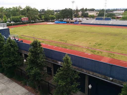 Bailey Field - Visual
